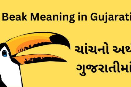 Beak Meaning in Gujarati