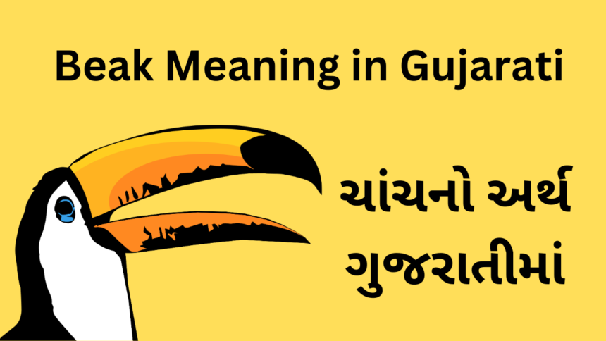 Beak Meaning in Gujarati