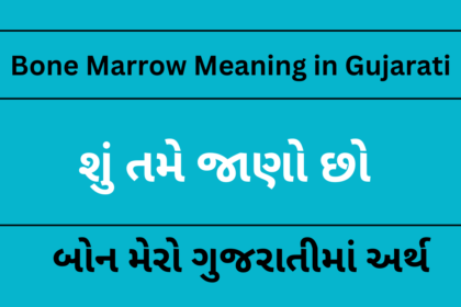 Bone Marrow Meaning in Gujarati