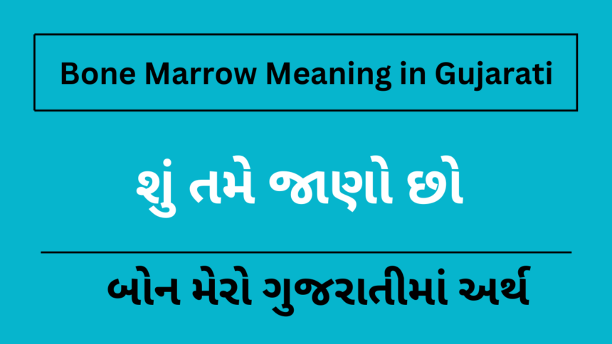 Bone Marrow Meaning in Gujarati