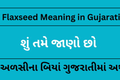 Flaxseed Meaning in Gujarati