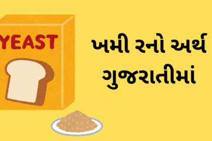 Khamir Meaning in Gujarati