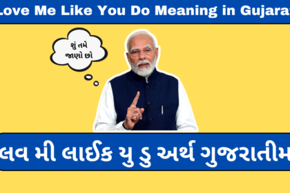 Love Me Like You Do Meaning in Gujarati