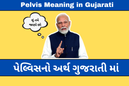 Pelvis Meaning in Gujarati