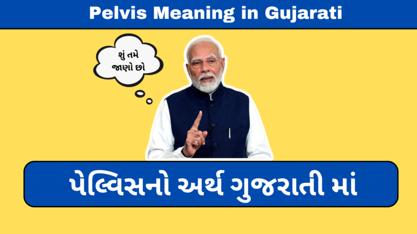 Pelvis Meaning in Gujarati