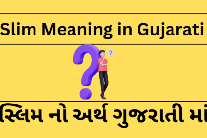 Slim Meaning in Gujarati