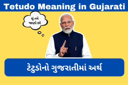 Tetudo Meaning in Gujarati