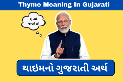 Thyme Meaning In Gujarati