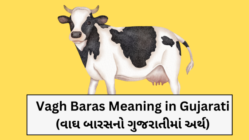 Vagh Baras Meaning in Gujarati