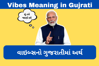 Vibes Meaning in Gujrati