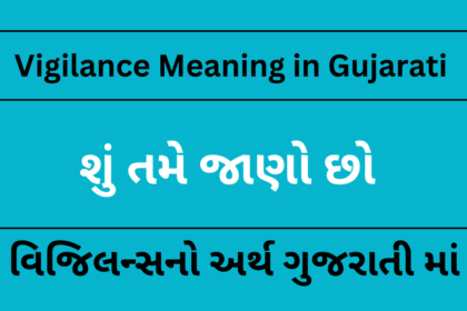 Vigilance Meaning in Gujarati