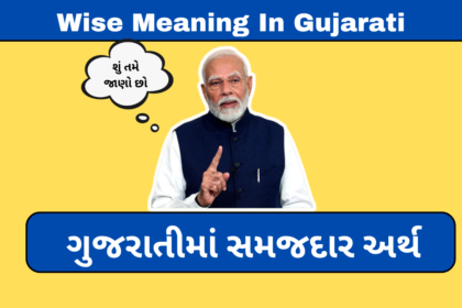 Wise Meaning In Gujarati