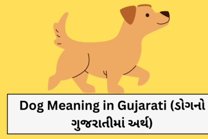 Dog Meaning in Gujarati