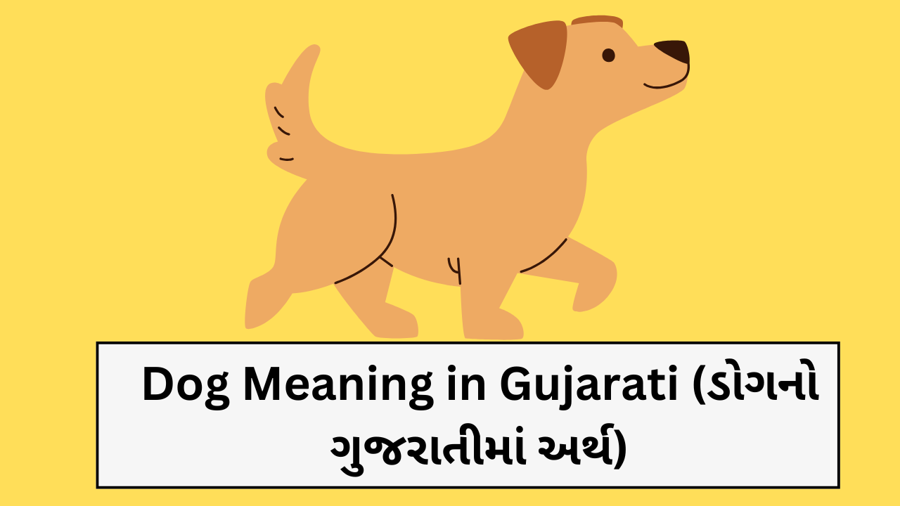 Dog Meaning in Gujarati